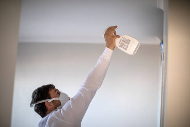 Best Post-Remediation Services in Forest Hill, TX