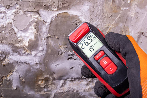 Best Commercial Mold Remediation in Forest Hill, TX