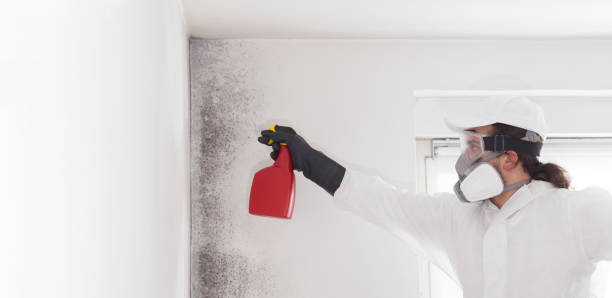 Best Industrial Mold Remediation in Forest Hill, TX